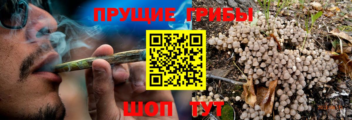 Новочебоксарск  Псилоцибиновые грибы GOLDEN TEACHER  Вход с VPN  Псилоцибиновые грибы Psilocybe 